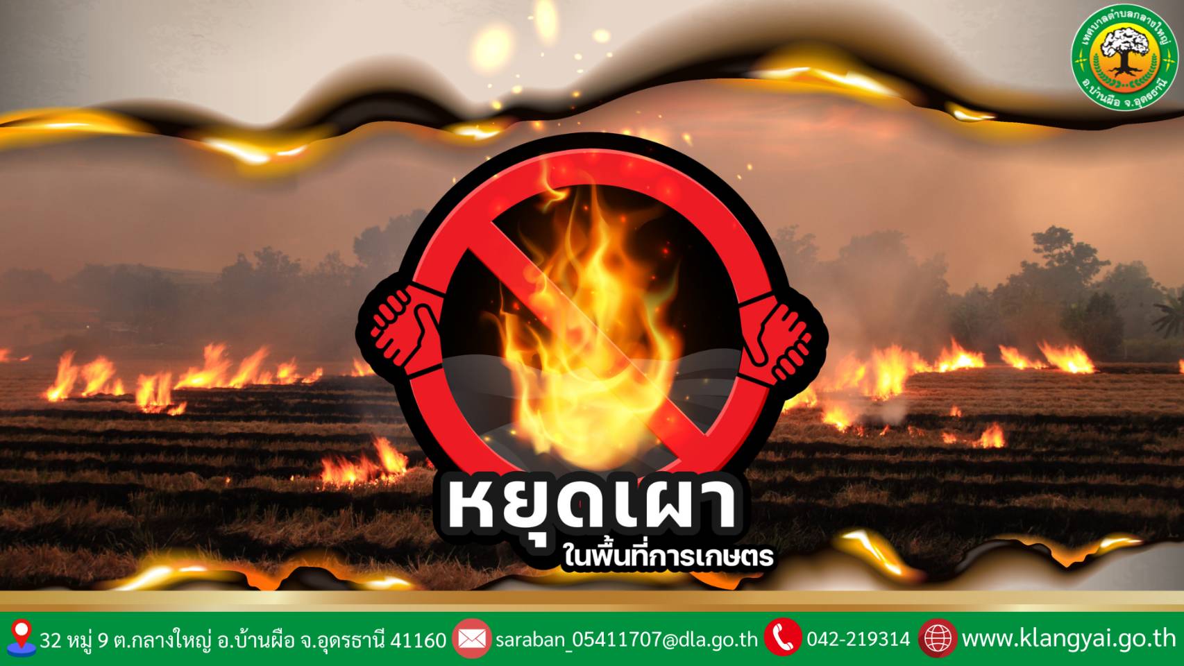 news 6