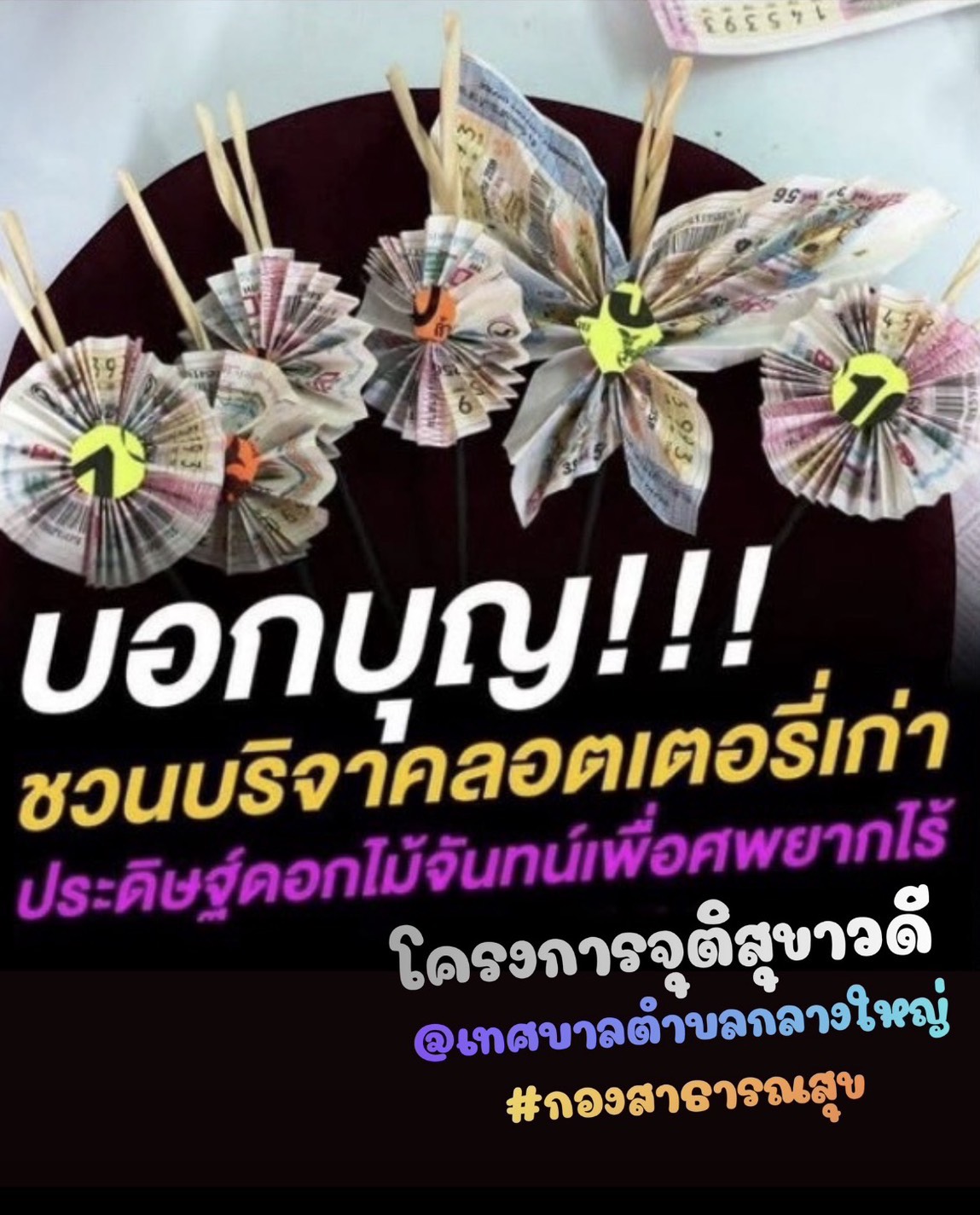 news 6